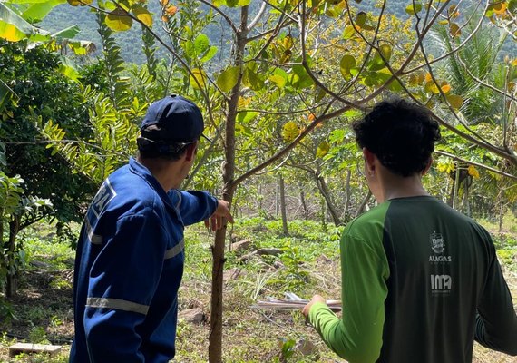 Programa incentiva preservação ambiental no sertão alagoano