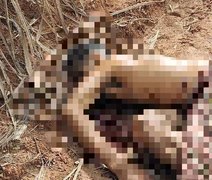 Corpo é encontrado com marcas de tiros em canavial no interior de Alagoas