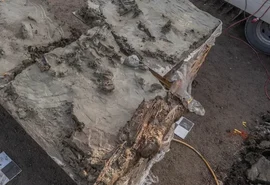 Arqueólogos encontram cão neolítico enterrado com adaga em ritual de 5.000 anos atrás