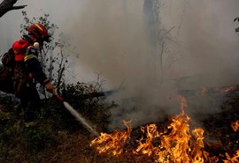 Onda de calor na Europa pode pressionar preços de alimentos e azeite