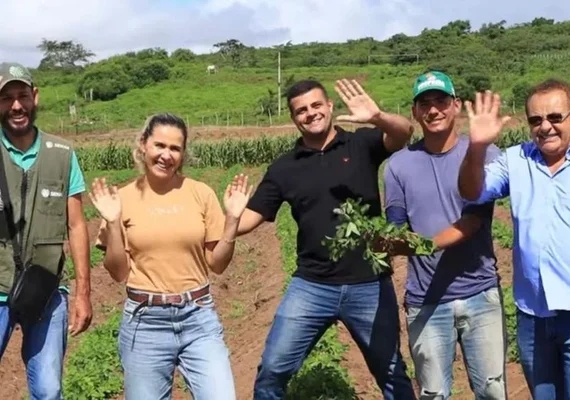 CAPIAL celebra primeiras colheitas do programa de amendoim no Agreste Alagoano