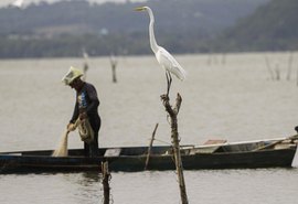 Mudanças no seguro-defeso visam combater fraudes e garantir benefício a pescadores