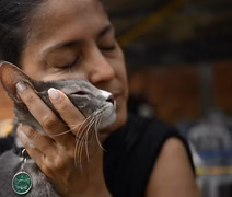 Resgate de animais leva esperança a vítimas de terremoto na Colômbia