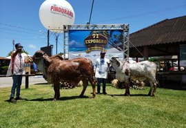 71ª edição da Expoagro/AL valoriza mercado pecuário  e destaca a força do campo