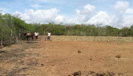Aquecimento global impacta semiárido alagoano