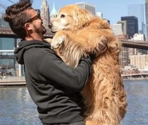Influencer brasileiro que viajava de fusca com seu cachorro morre em acidente nos EUA