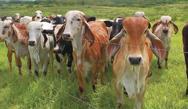 Mais Pasto finaliza sexta turma do programa