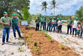 Coopaiba apresenta produção em consórcio com o coqueiro