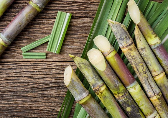 Usinas já estão em operação em Alagoas; é esperado crescimento superior a 10%