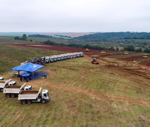 Soli3 obtém crédito de R$ 150 milhões do BNDES para usina de biodiesel