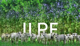 Embrapa divulga avaliação econômica do ILPF