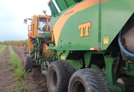 Plantadeira automática transforma produção de cana-de-açúcar em São Miguel dos Campos