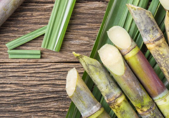 Safra 19/20 segue com números positivos em Alagoas