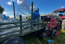 Pindorama se prepara para a colheita de arroz de sequeiro em Igreja Nova