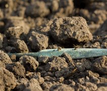 Arqueólogos descobrem lança de ferro mais longa da Idade do Ferro na Índia