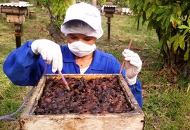 Marechal Deodoro recebe XIX Seminário Alagoano de Apicultura e VI de Meliponicultura