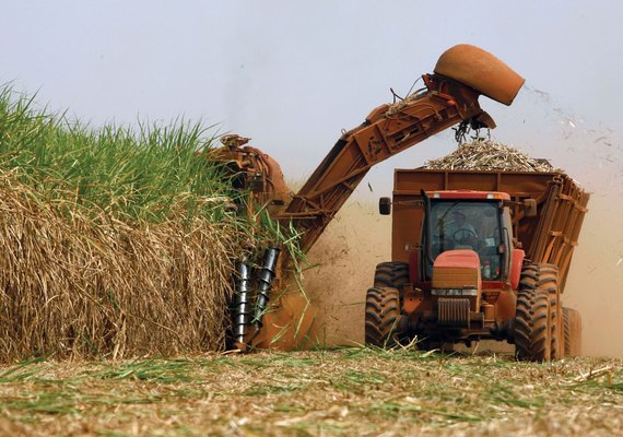 Nova cota ameaça produção de etanol em AL