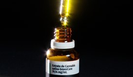 Autorizações para importação de cannabis crescem 29% no primeiro semestre de 2026