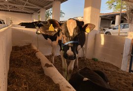 Confira a programação desta sexta (8) na 38ª Expo Bacia Leiteira