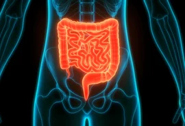 Estudo aponta que adoçante pode afetar bactérias benéficas do intestino