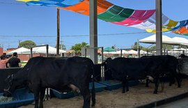 Com apoio do Governo de Alagoas, 74ª Expoagro registra o maior público de todas as edições