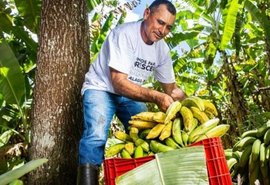 Estudo da ACI Américas destaca avanços do coop entre 2012 e 2025