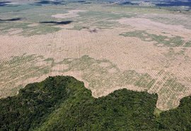 Desmatamento de junho é 88% maior que mesmo período de 2018