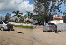 Homem que arrastou cachorro com carro em Maceió é intimado pela PC