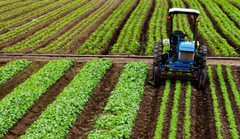 Crédito rural empresarial atinge R$ 404 bilhões no Plano Safra 2025/2026