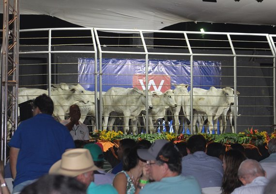 Expoagro/AL é a principal praça de comercialização animal do Norte e Nordeste
