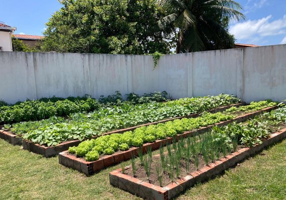 Governo de Alagoas entrega nova horta urbana no Conjunto Residencial Graciliano Ramos