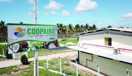 Coopaiba reestrutura cultura do coco em Alagoas