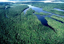 Pesquisa de conservação da Amazônia ganha prêmio nacional