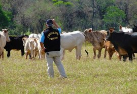 Auditores agropecuários reivindicam reestruturação da carreira e reposição de cargos