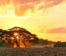 Agro pode movimentar R$ 3,5 bilhões com créditos de carbono até 2035