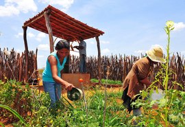 Produtores poderão renegociar dívidas com fundos constitucionais