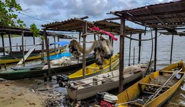 Peixe na água e rede vazia: desastre da Braskem atinge pescadores