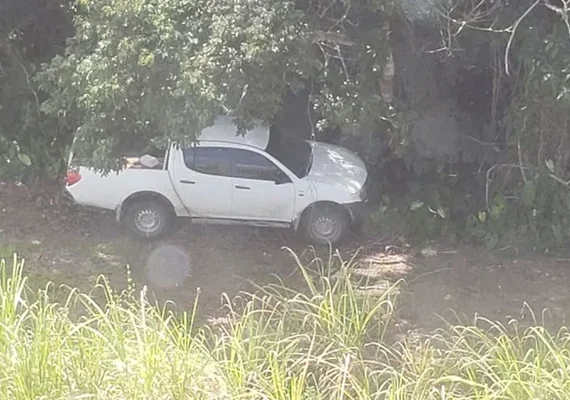 Helicóptero da PM encontra caminhonete roubada escondida em Rio Largo
