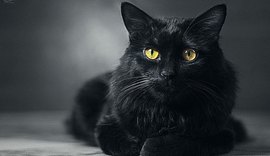 10 curiosidades sobre a famosa sexta-feira 13; confira