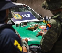 FPI autua homem por posse ilegal de arma de fogo, poluição e aplica multa de R$ 38 mil