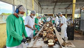 Chamada pública prioriza associações e cooperativas de comunidades tradicionais em AL