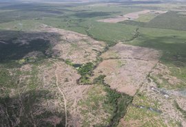 Áreas maiores que 1400 campos de futebol são embargadas por desmatamento em AL