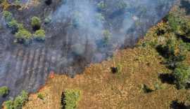 Amazônia registra menor índice de desmatamento em dez anos, aponta Inpe