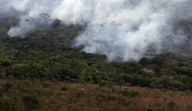 Copernicus: emissão global de gases por incêndios é a menor em 24 anos