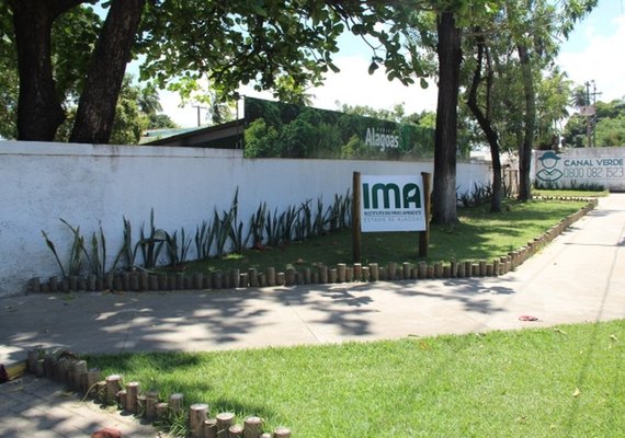 Alagoas consegue zerar o desmatamento da Mata Atlântica