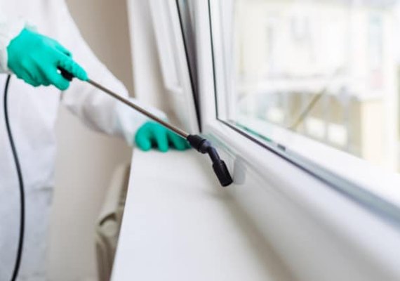 Locais de votação das zonas eleitorais de Maceió passam por desinfecção