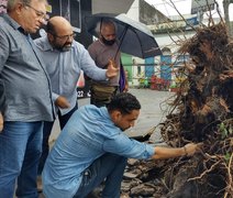 Após queda de árvore, técnicos inspecionam a Rua das Árvores para evitar outros tombamentos