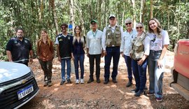 Papagaios-do-mangue e jabutis chegam a Alagoas para reforçar programa de refaunação e replantio de florestas