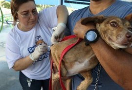 Alagoas inicia campanha de vacinação antirrábica para cães e gatos