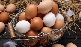 Consumo de ovos deve crescer 6% no Brasil e chegar a 307 por pessoa em 2026
